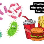 Foodborne Microorganism - Bacteria