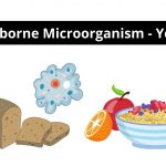Foodborne Microorganism - Yeasts