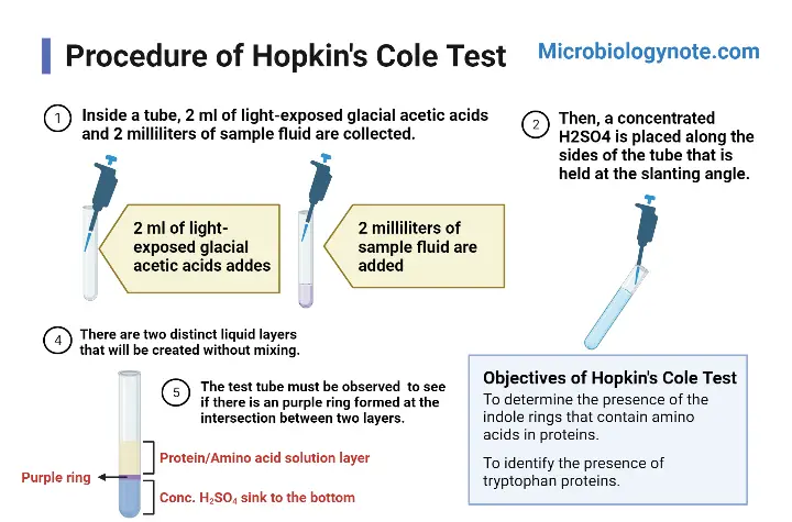 Procedure of Hopkin's Cole Test