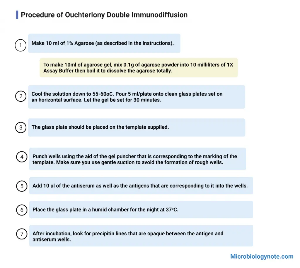 Procedure of Ouchterlony Double Immunodiffusion