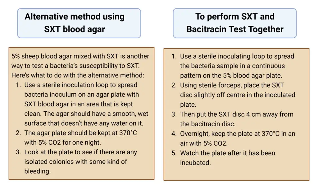 Procedure of SXT Test