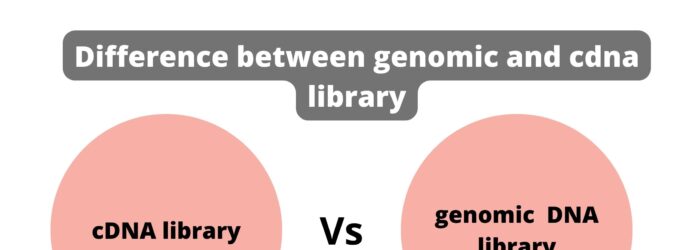 Difference between genomic and cdna library