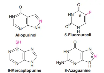 Structures of selected purine and pyrimidine analogs