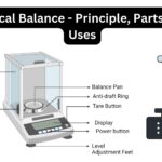 Analytical Balance - Diagram, Principle, Parts, Types, Uses