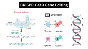 CRISPR-Cas9 Gene Editing - Definition, Mechanism, Application