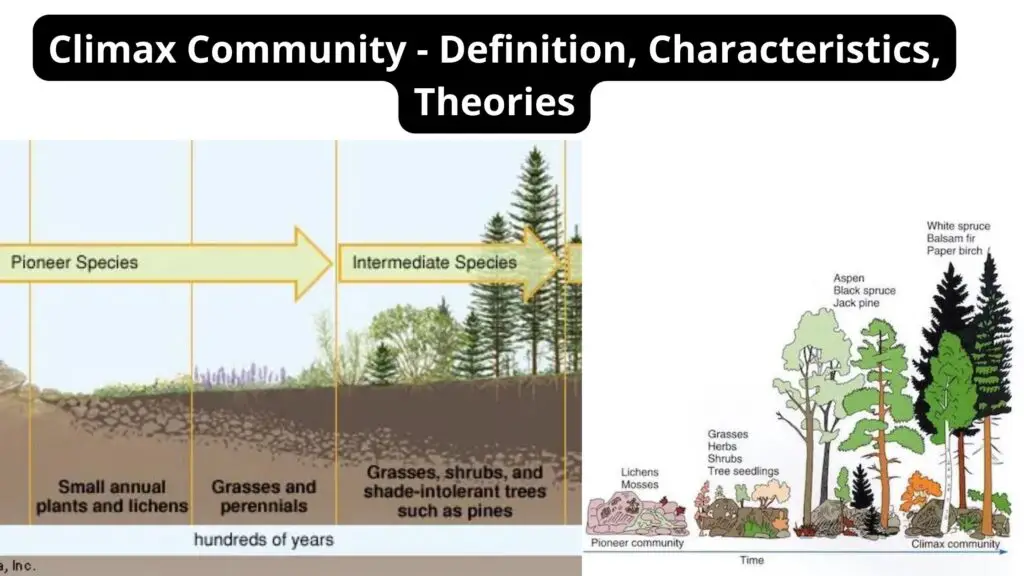 Climax Community - Definition, Characteristics, Theories