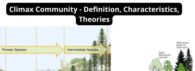 Climax Community - Definition, Characteristics, Theories