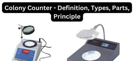 Colony Counter - Definition, Types, Parts, Principle