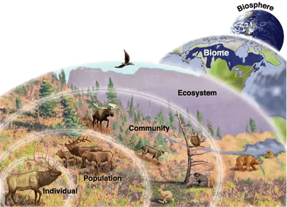 Ecological Level 6 - Biome