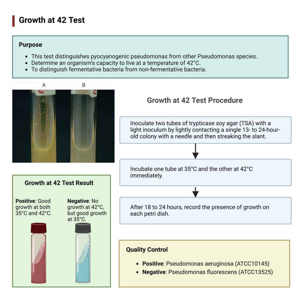 Growth at 42 Test - Growth of Non Fermentative Bacteria at 42°C