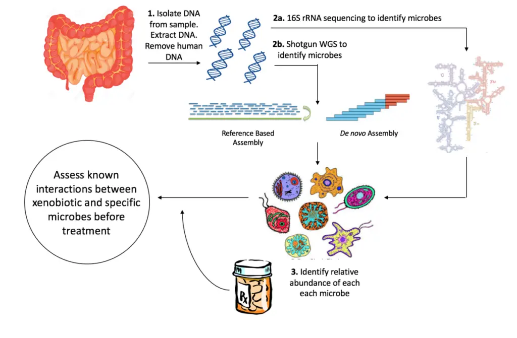 Significance of rRNA