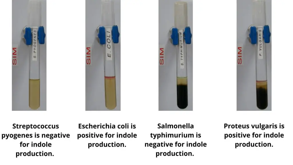 Expected Results of Sulfur Reduction Test 