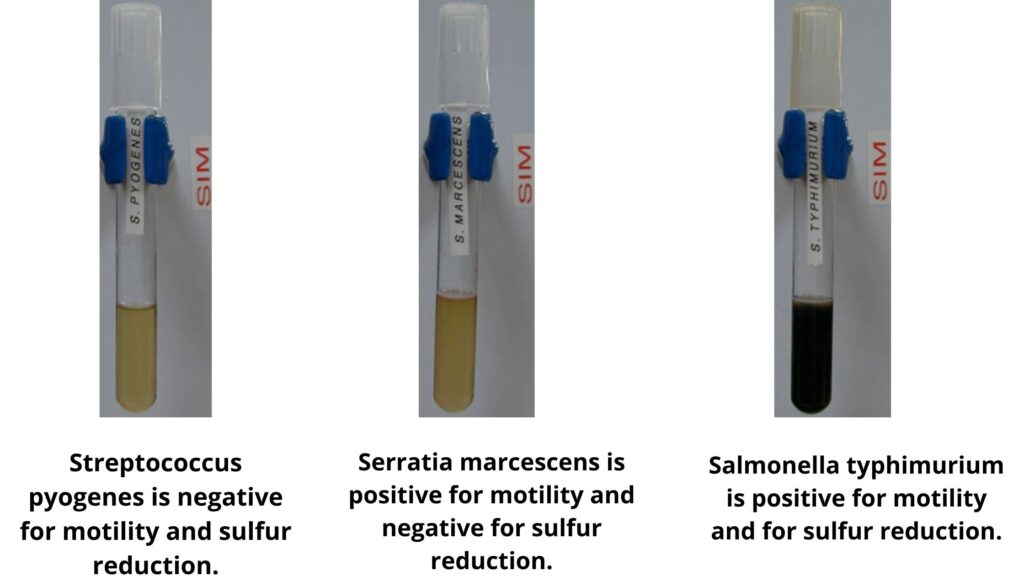 Expected Results of Sulfur Reduction Test 