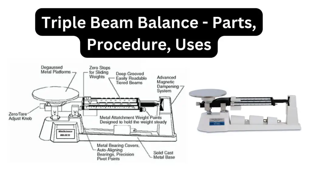 Triple Beam Balance - Parts, Procedure, Uses