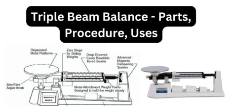 Triple Beam Balance - Parts, Procedure, Uses