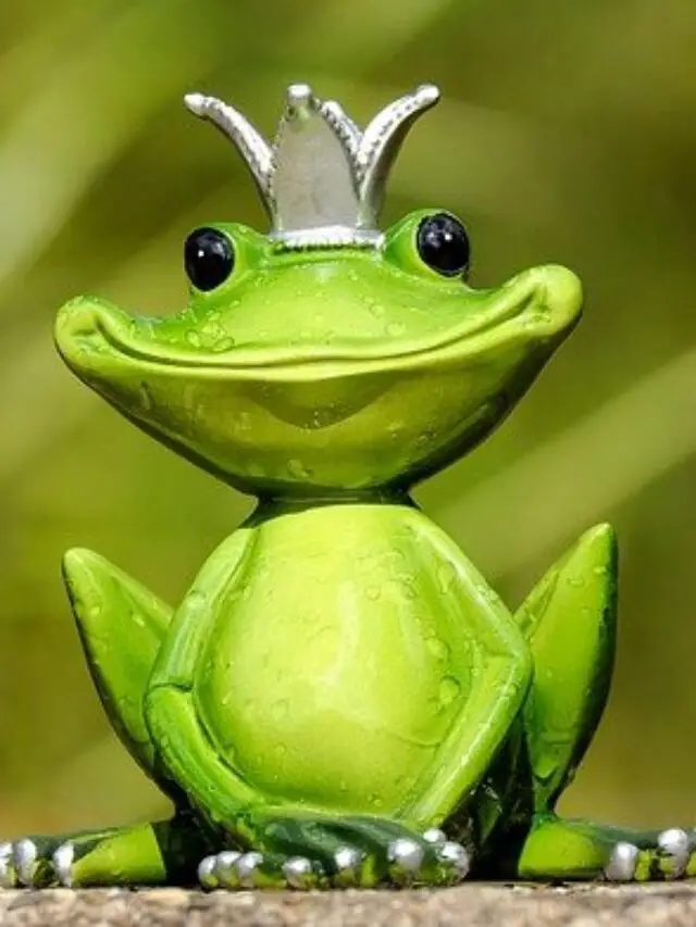 Top 10 Interesting Facts About Frogs