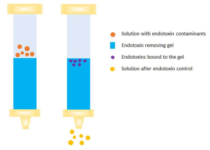Protein Purification Methods