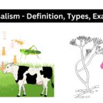 Amensalism - Definition, Types, Examples