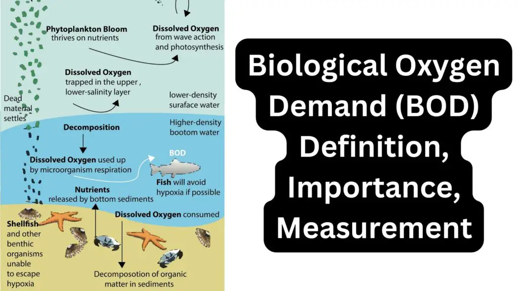 Biological Oxygen Demand (BOD) Definition, Importance, Measurement