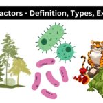 Biotic Factors - Definition, Types, Examples