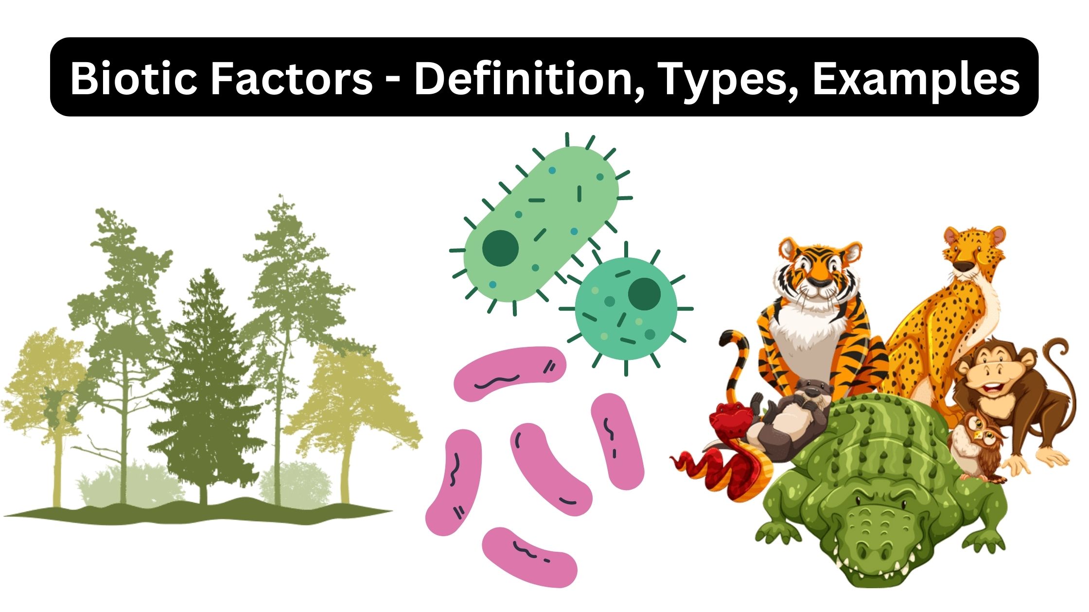 Biotic Factors - Definition, Types, Examples