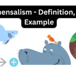 Commensalism - Definition, Types, Example