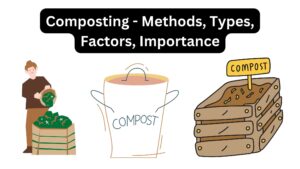Composting - Methods, Types, Factors, Importance