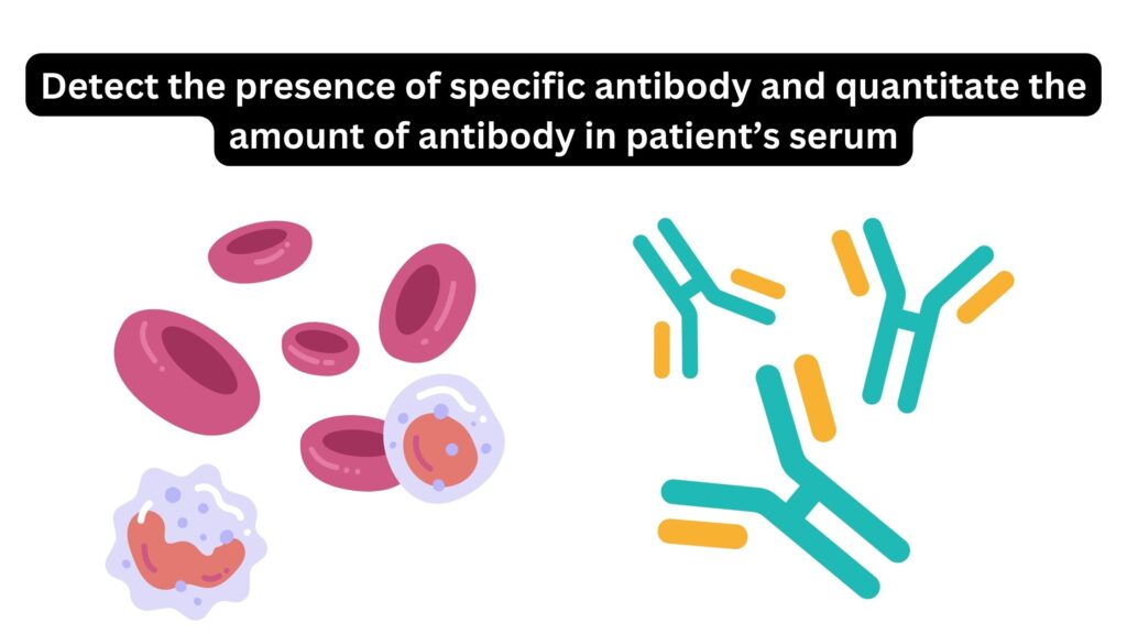 Detect the presence of specific antibody and quantitate the amount of antibody in patient’s serum