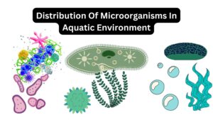 Distribution Of Microorganisms In Aquatic Environment