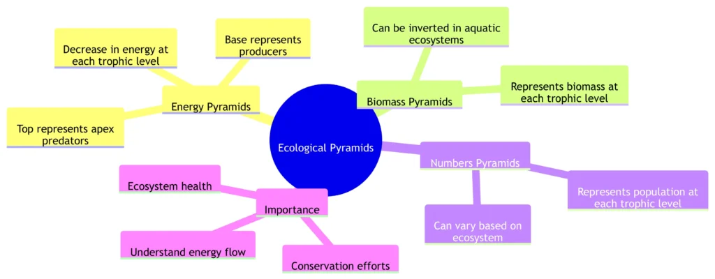 Ecological Pyramids Mindmap