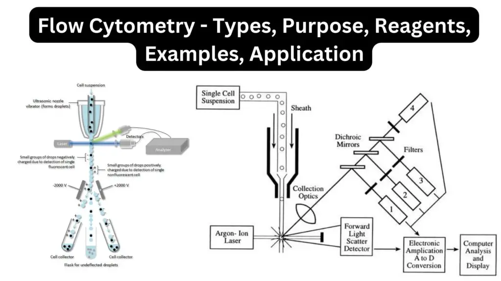 Flow Cytometry - Types, Purpose, Reagents, Examples, Application