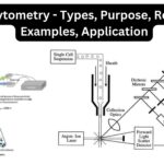 Flow Cytometry - Types, Purpose, Reagents, Examples, Application