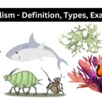 Mutualism - Definition, Types, Examples