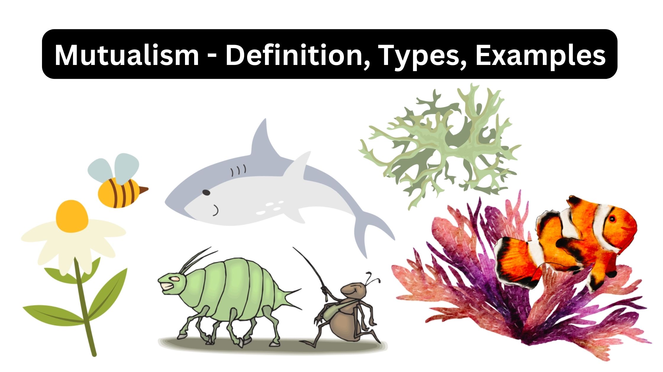 Mutualism - Definition, Types, Examples
