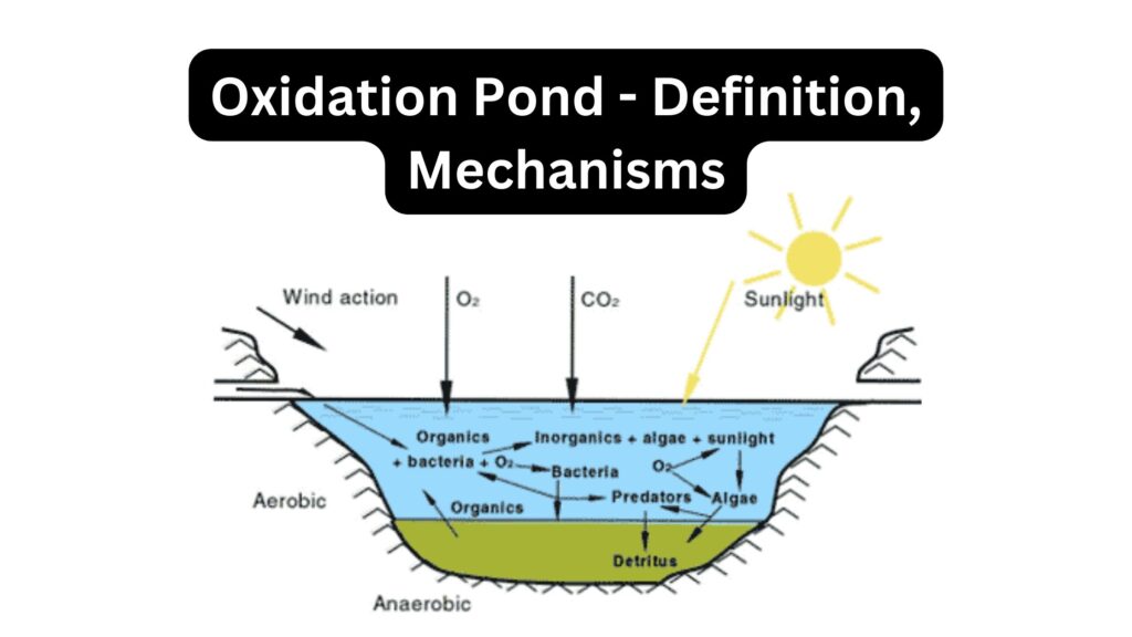 Oxidation Pond - Definition, Mechanisms