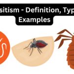 Parasitism - Definition, Types, Examples
