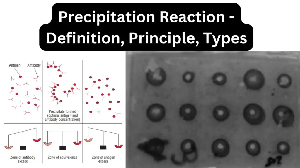 Precipitation Reaction - Definition, Principle, Types