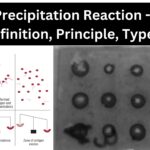 Precipitation Reaction - Definition, Principle, Types