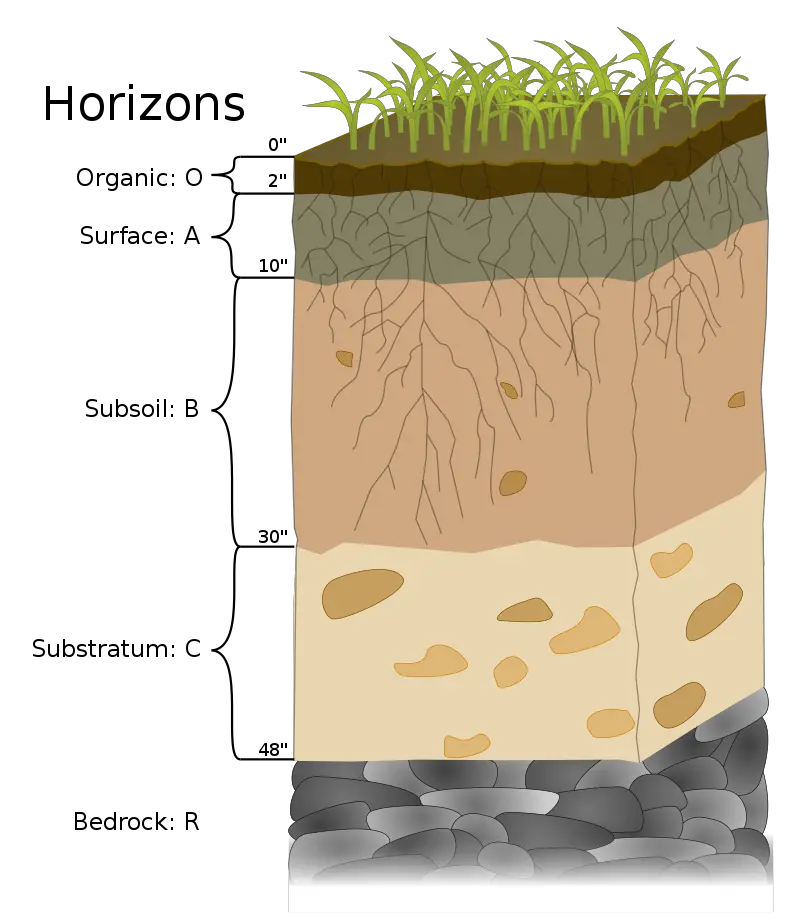 Soil Horizons diagram