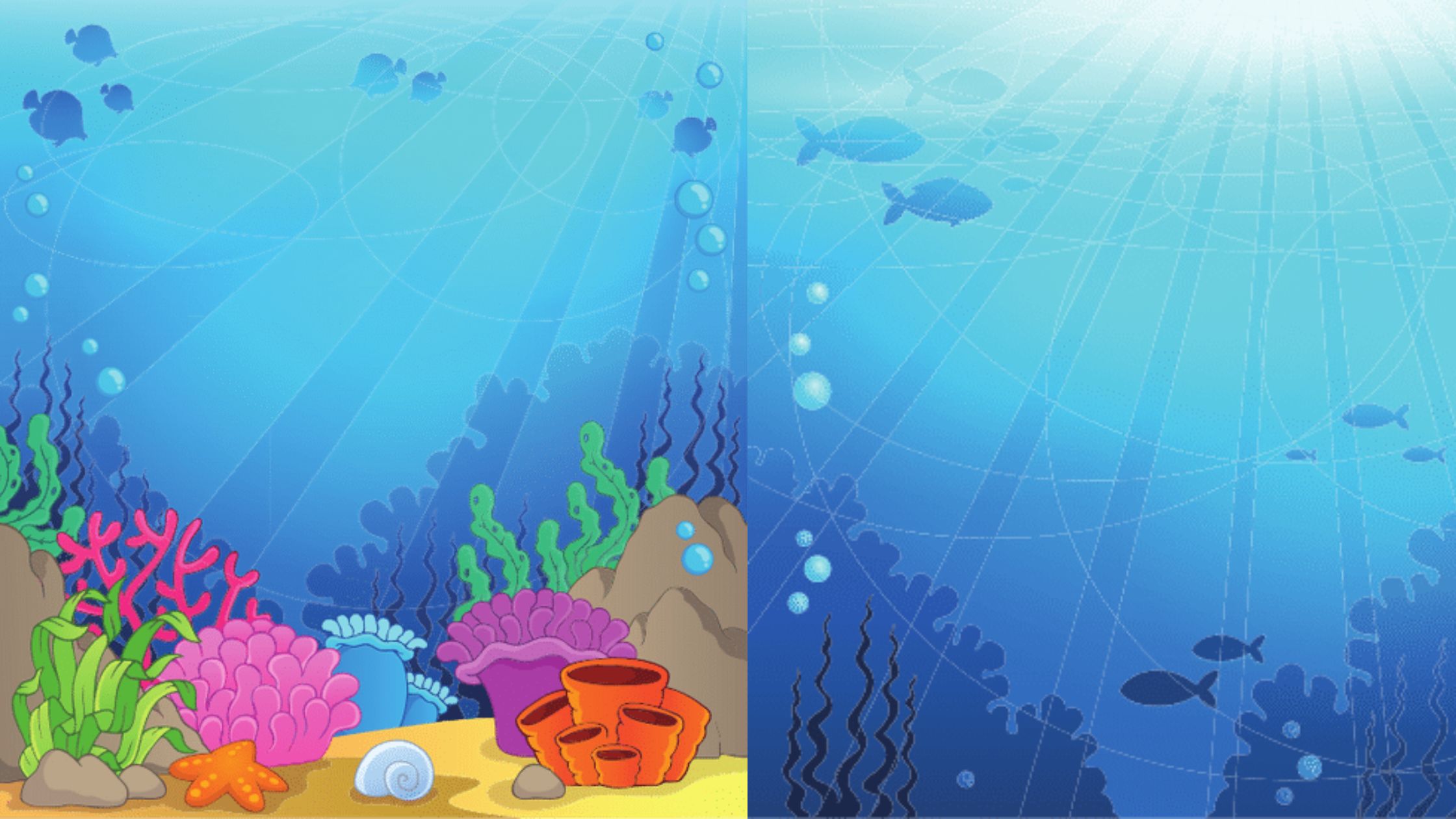Aquatic Ecosystem - Definition, Types. Examples
