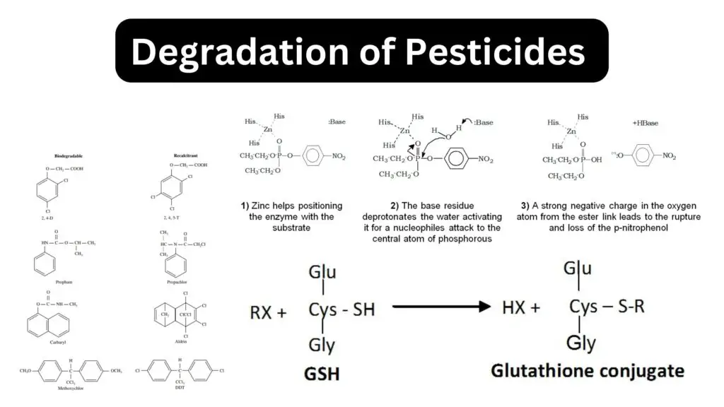 Degradation of Pesticides - Types, Mechanisms