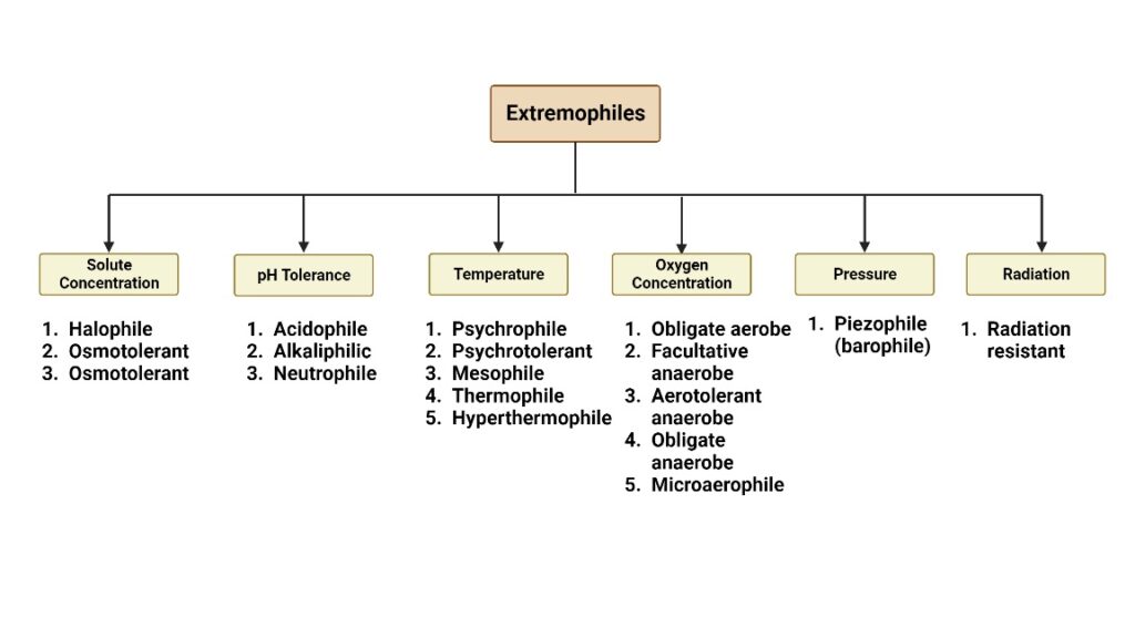 Classifications of Extremophiles