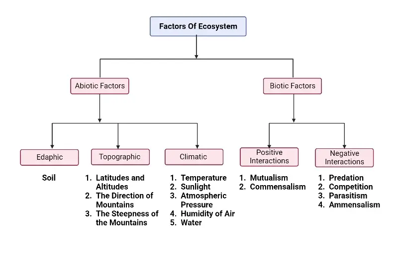 Factors Of Ecosystem - Definition, Types