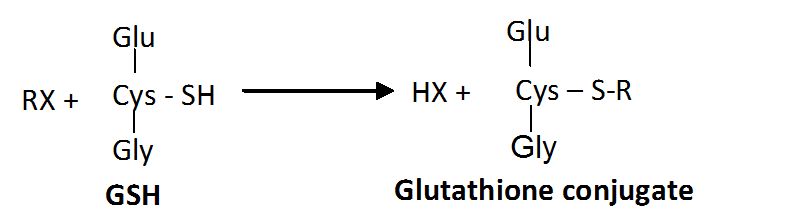 Representation of the conjugation reaction catalyzed by glutathione S-transferase (GST).