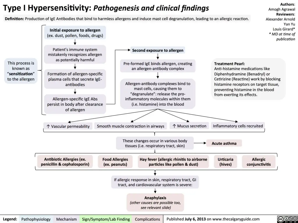TYPE I HYPERSENSITIVITY: PATHOGENESIS AND CLINICAL FINDINGS