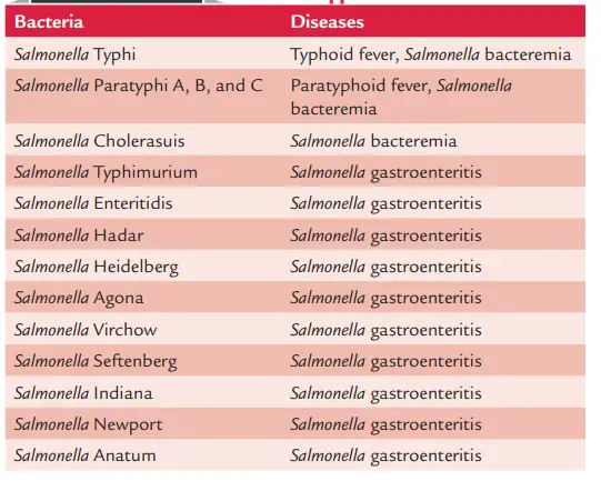 Human infections caused by
Salmonella spp.
