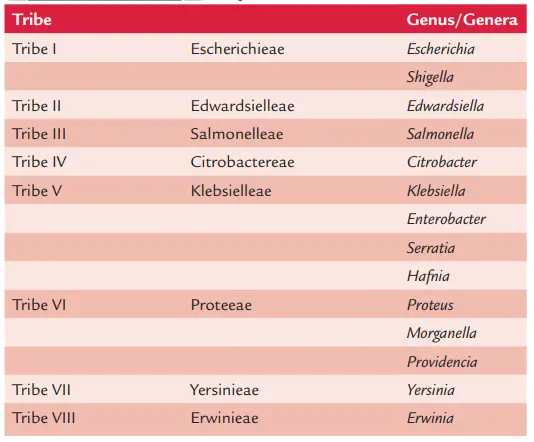 Ewing’s classification of the
family Enterobacteriaceae