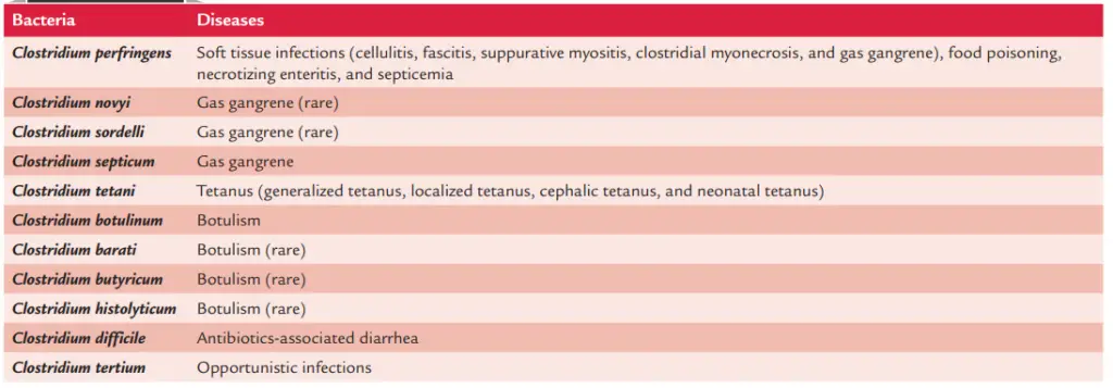 Virulence factors of Clostridium perfringens