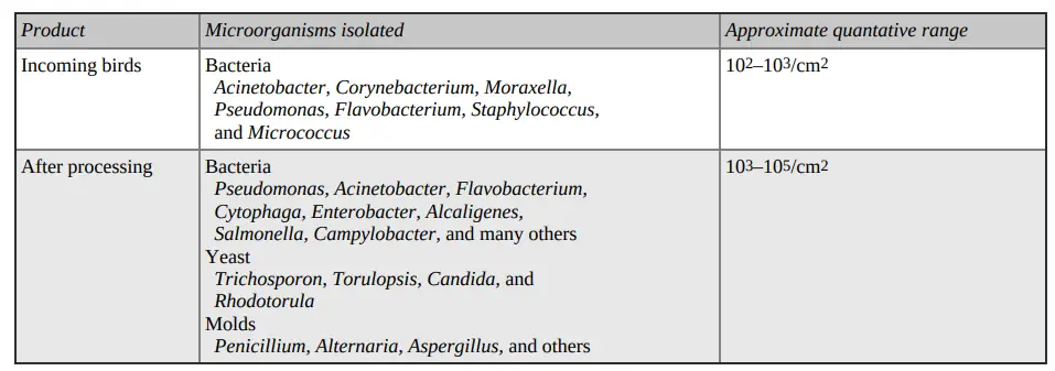 Microbiological Profile of Poultry