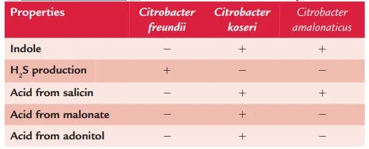 Important properties used for
differentiation of Citrobacter species